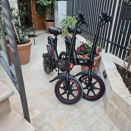 La Corte Di Kate-2 ビオグラード・ナ・モル